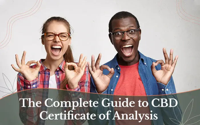 The Complete Guide to CBD Certificate of Analysis [How to Get It, Read It, and Interpret It]