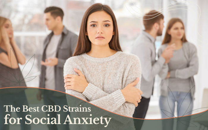 The 8 Best CBD Strains for Social Anxiety