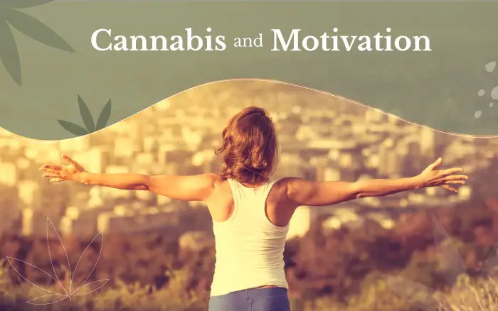 Cannabis and Motivation: Research Says that Cannabis Does Not Decrease Motivation