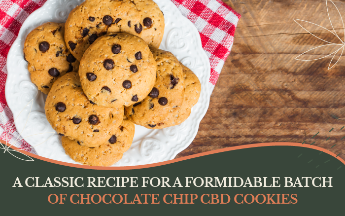 A Classic Recipe for a Formidable Batch of Chocolate Chip CBD Cookies
