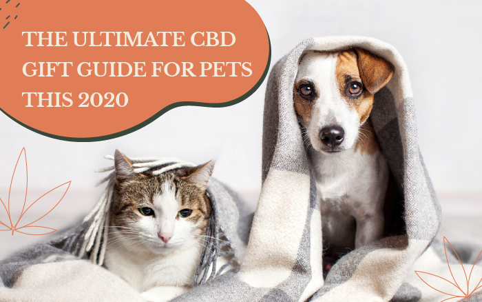 The Ultimate CBD Gift Guide for Pets this 2020