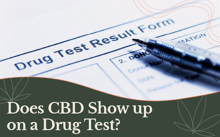 Does CBD Show up on a Drug Test? [Urine Drug Test and Blood Work]