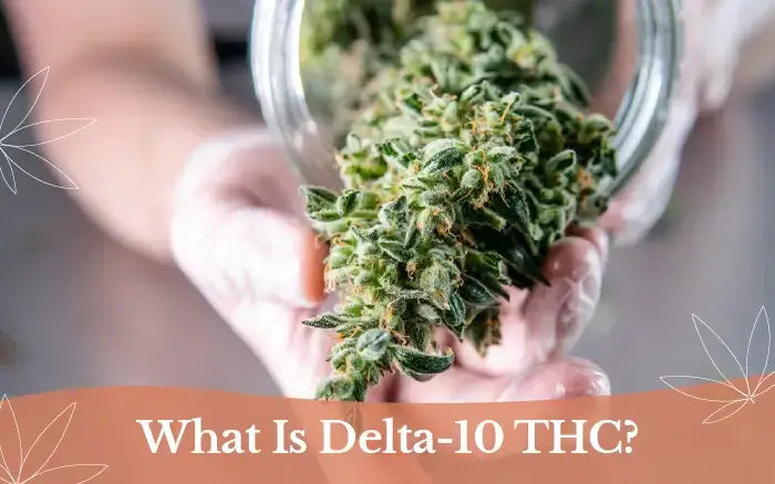 What Is Delta-10 THC and Should I Try It?