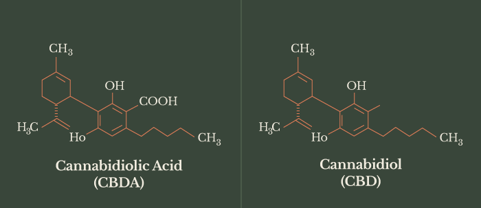 CBD oil and its components