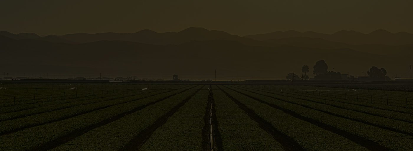 What is CBD / Hemp - CBD Gummies, Tinctures E Liquid - 420 Beast